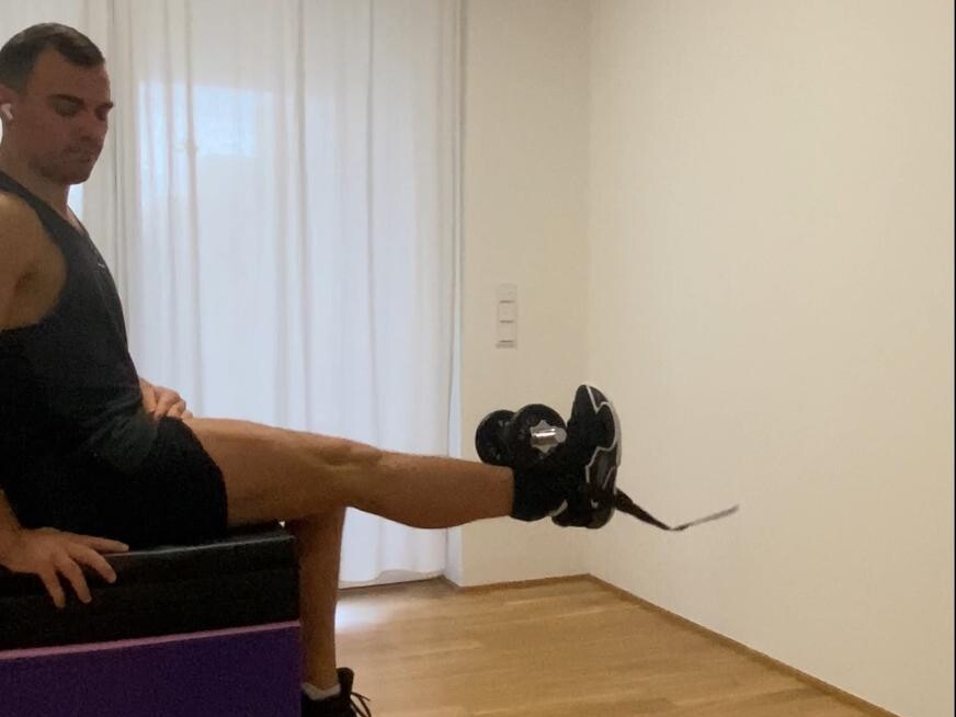 Leg Extension Hantel